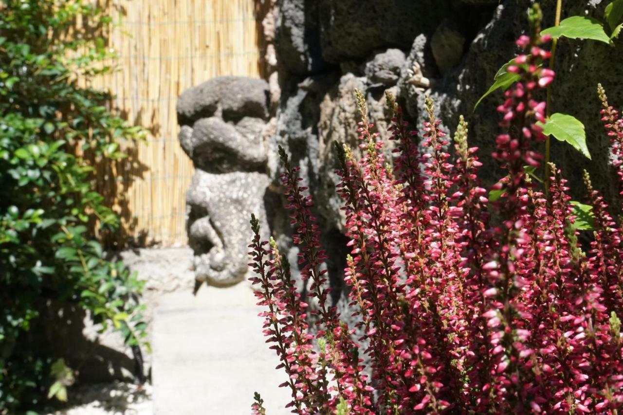 Casa Gise Daire Aci Castello Dış mekan fotoğraf